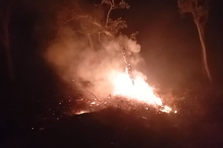 Los incendios han afectado zonas que ya habían sido restauradas en 2025.