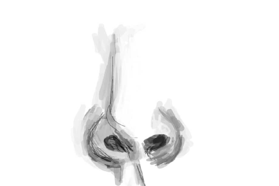 Los investigadores tomaron los datos aportados por 49 individuos tras oler 476 moléculas, / Mahieu Summer