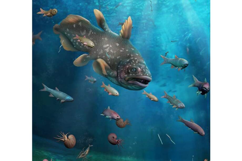 Reconstrucción artística de la Biota de Guiyang.