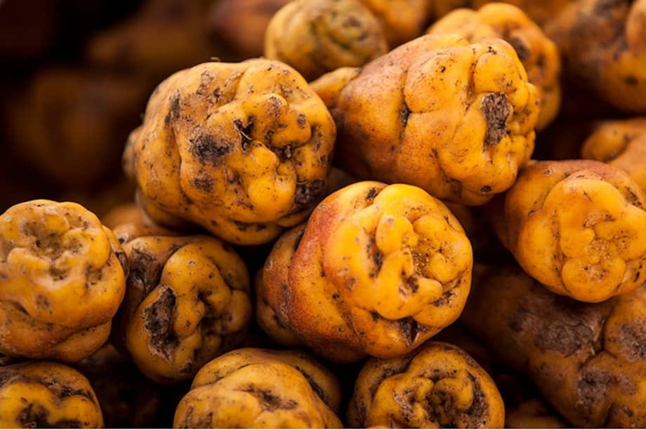 Conocido como cubio o mishua