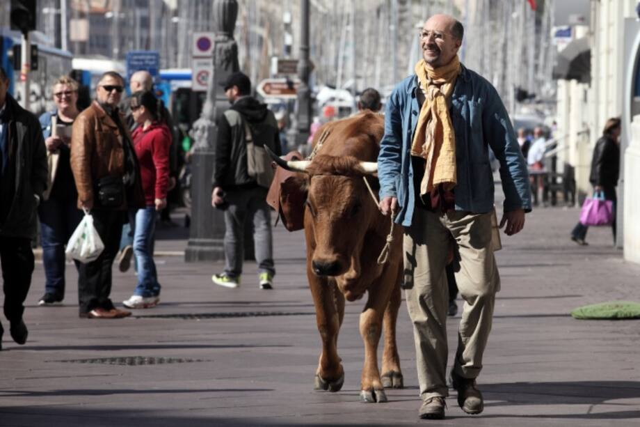 Siete curiosidades del estreno francés ‘No se metan con mi vaca’