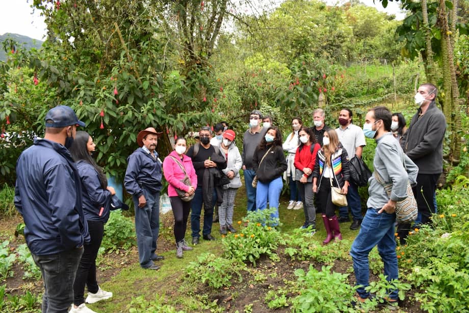 Delegación de Brasil y Colombia del proyecto Sembrando Capacidades en recorrido por huertas agroecológicas en ARAC, Subachoque. / FAO.