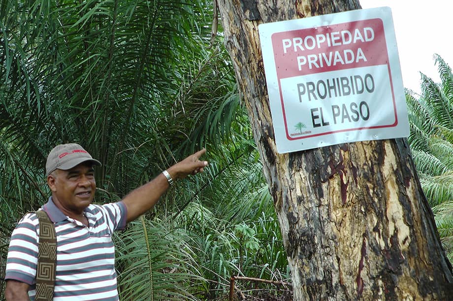 En el desplazamiento de 1996, cerca de 280 familias salieron huyendo por la violencia de los paramilitares. Cuando regresaron, encontraron sus tierras sembradas de palma de aceite.