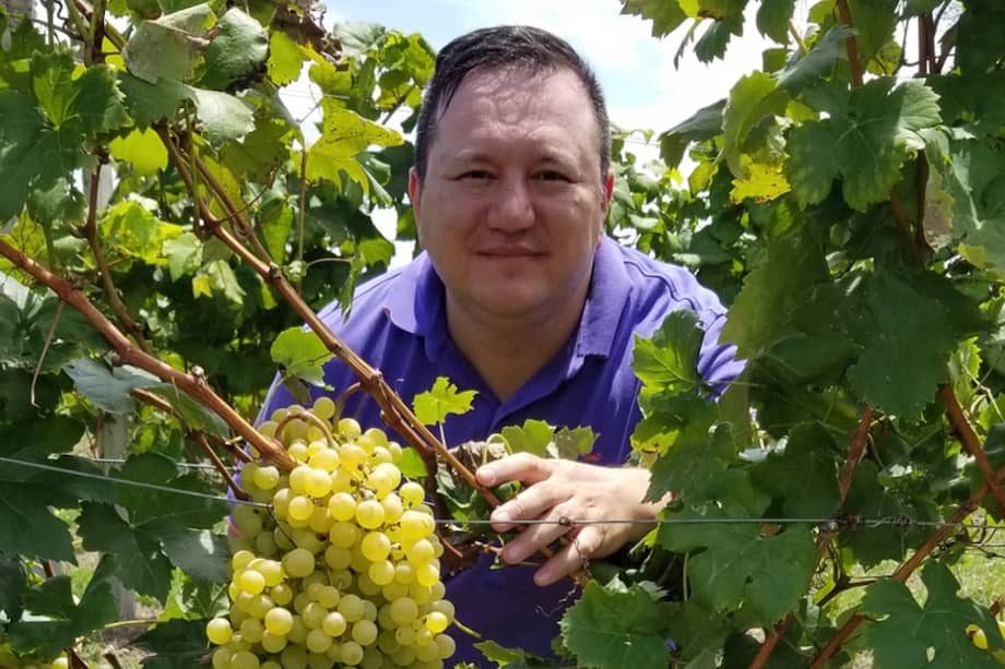 El colombiano asesora viñedos en Tolima, Huila, Santander, Boyacá y Antioquia.