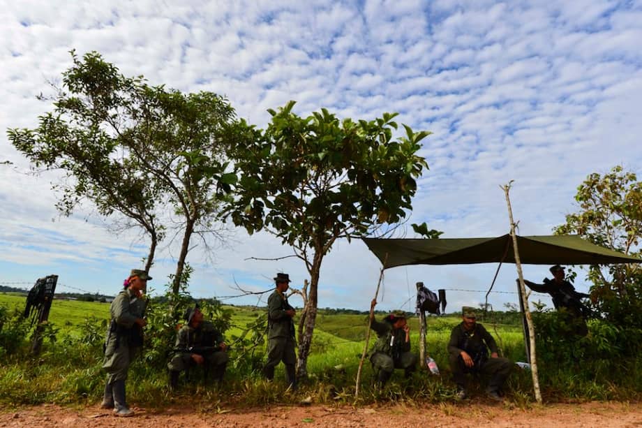 Farc tienen menos de 8 mil hombres en sus filas