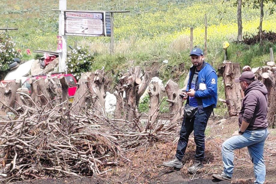 Madera talada sin permiso fue encontrada en Soacha; autoridades evitaron que fuera usada para producir carbón vegetal y activaron proceso sancionatorio.