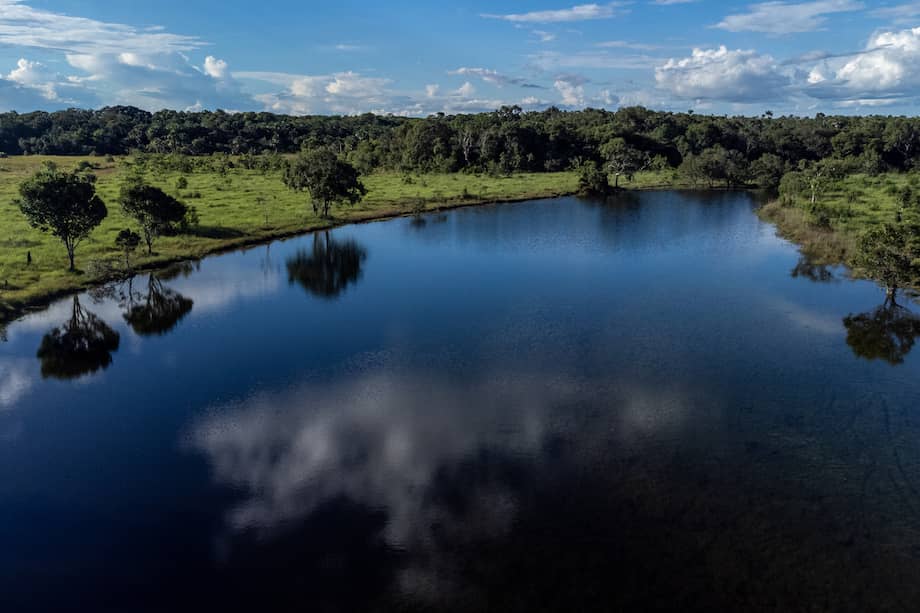Imagen de las Sabanas del Manacacías.