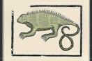 Monstruos en el paraíso: la iguana y otras increíbles criaturas americanas