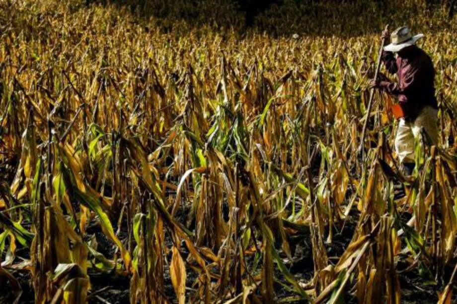 Referencia / Archivo EFE.