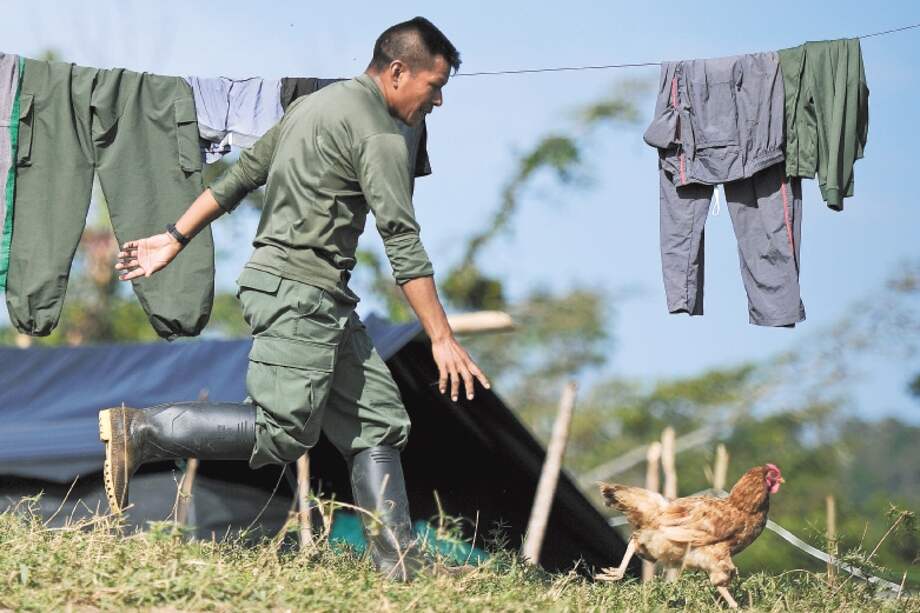 En las zonas veredales, desde el 1° de agosto, se espera el desarrolo de proyectos productivos que beneficien a poblaciones aledañas. / Mauricio Alvarado - El Espectador