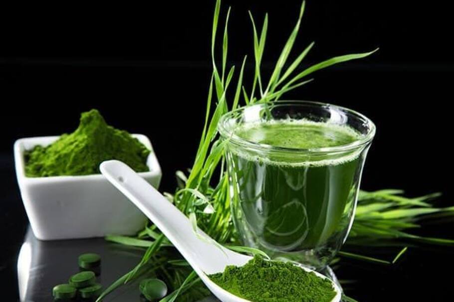 Conoce los beneficios de esta planta ancestral que beneficia el cuerpo humano con todas sus aplicaciones y usos.