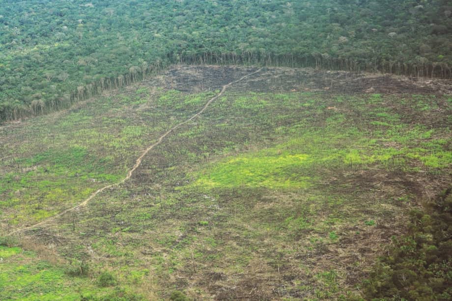 La defensa de ‘todos aportamos al daño del medio ambiente’ dejó de ser aceptable, cuando claramente hay factores que influyen mucho más que otros. / Foto: FCDS