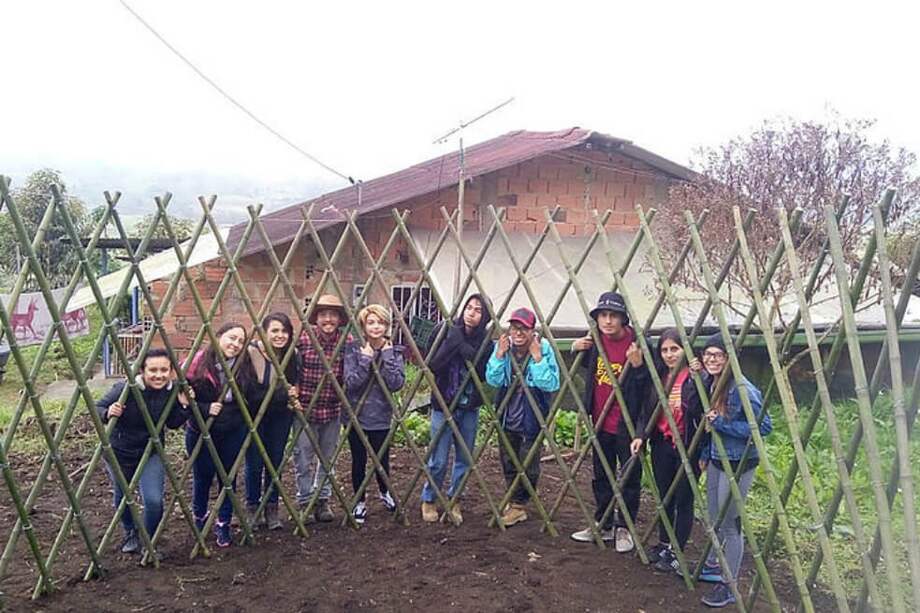 Agencia de noticias UN.