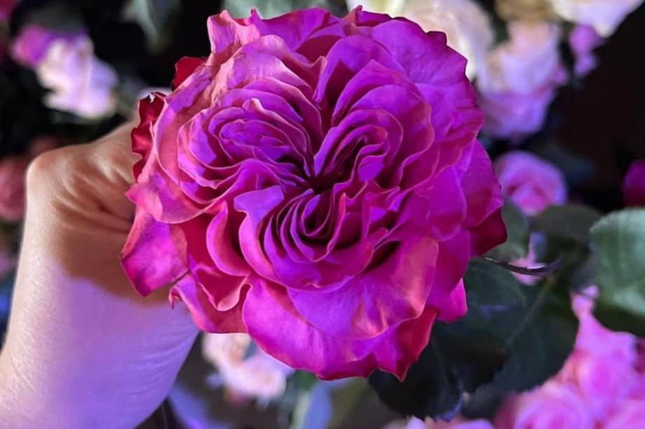 Los videos virales en TikTok aparecen con flores como rosas y lirios junto con mensajes motivacionales.