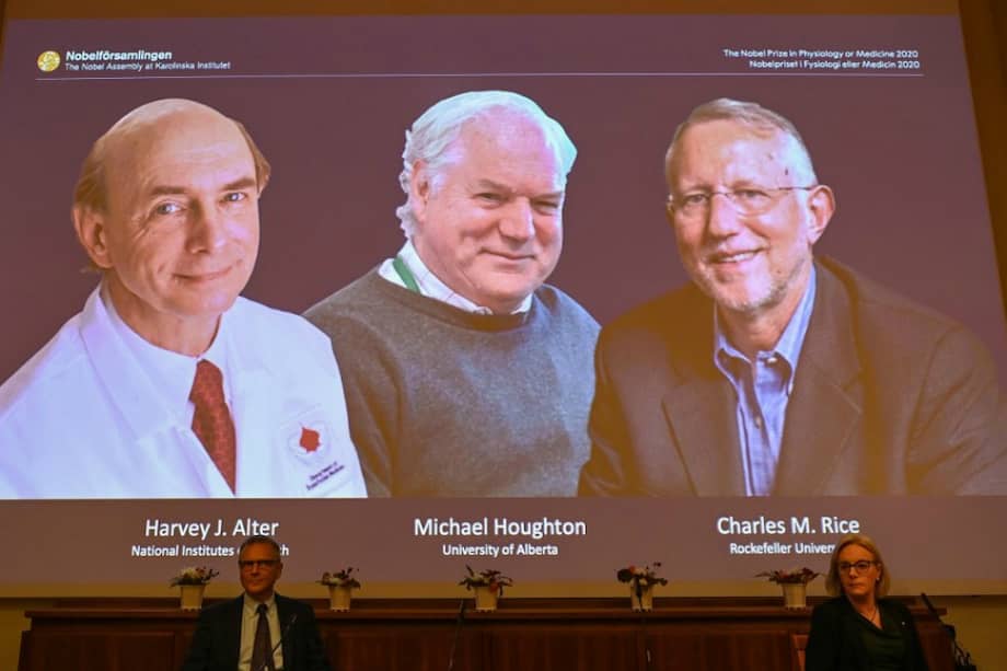 Los miembros del Comité Nobel Patrik Ernfors y Gunilla Karlsson Hedestam se sientan frente a una pantalla que muestra a los ganadores del Premio Nobel de Fisiología o Medicina 2020, el estadounidense Harvey Alter, el británico Michael Houghton y el estadounidense Charles Rice durante una conferencia de prensa en el Instituto Karolinska en Estocolmo, Suecia.