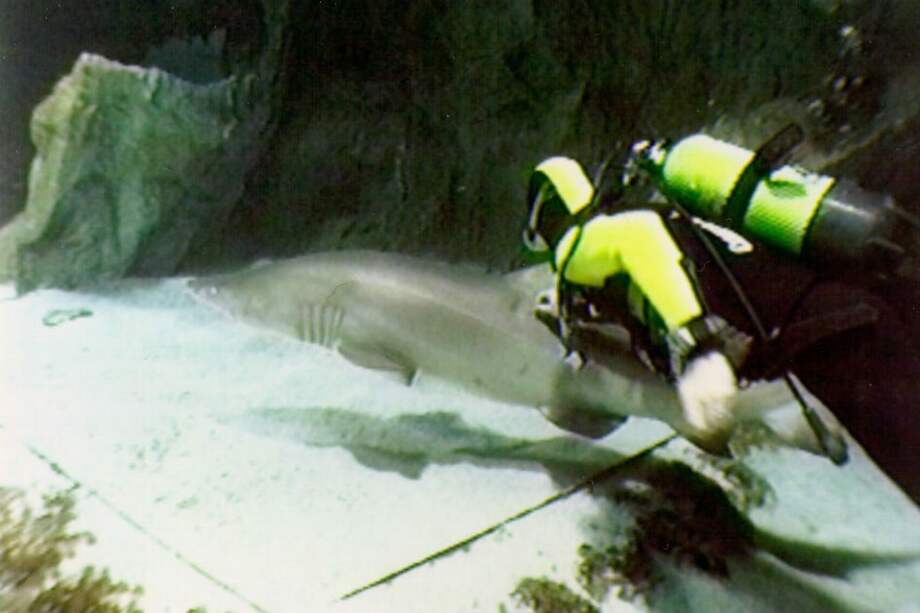 Archivo EFE / Archivo EFE