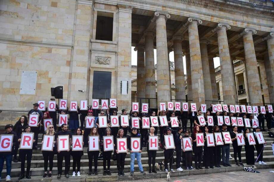 El proyecto plantea que los espectáculos con toros sean prohibidos tres años después de sancionada la ley para que, en este período, el gobierno nacional identifique a las personas que obtienen ganancias económicas a partir de estas prácticas.