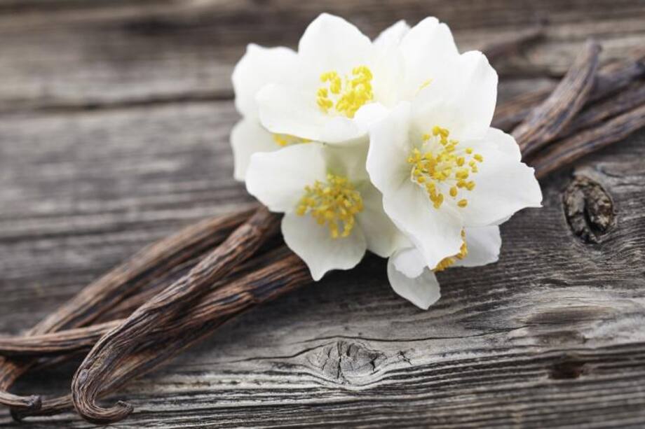 Aprende a preparar un perfume natural de vainilla
