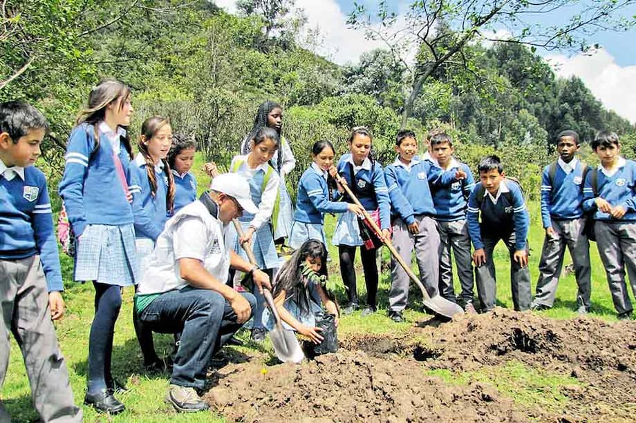 En las Aulas Ambientales niños y jóvenes pueden participar de actividades como caminatas, jornadas ecológicas y talleres ambientales. / Secretaría Distrital de Ambiente.