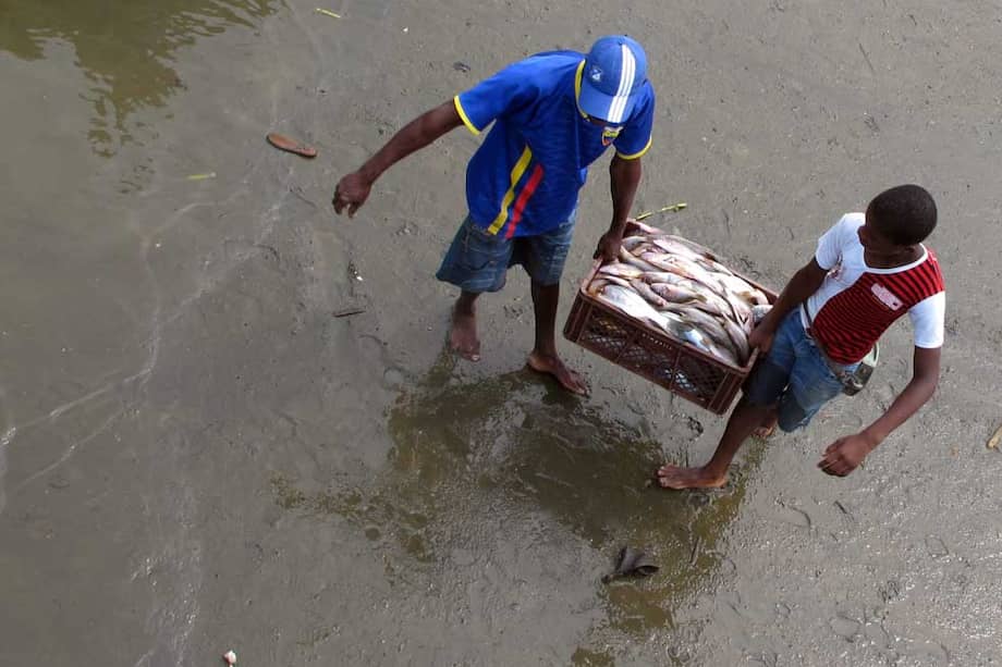Pescadores de Pizarro (Chocó) terminan su faena después de las tres de la tarde. / Fotos: Angélica María Cuevas