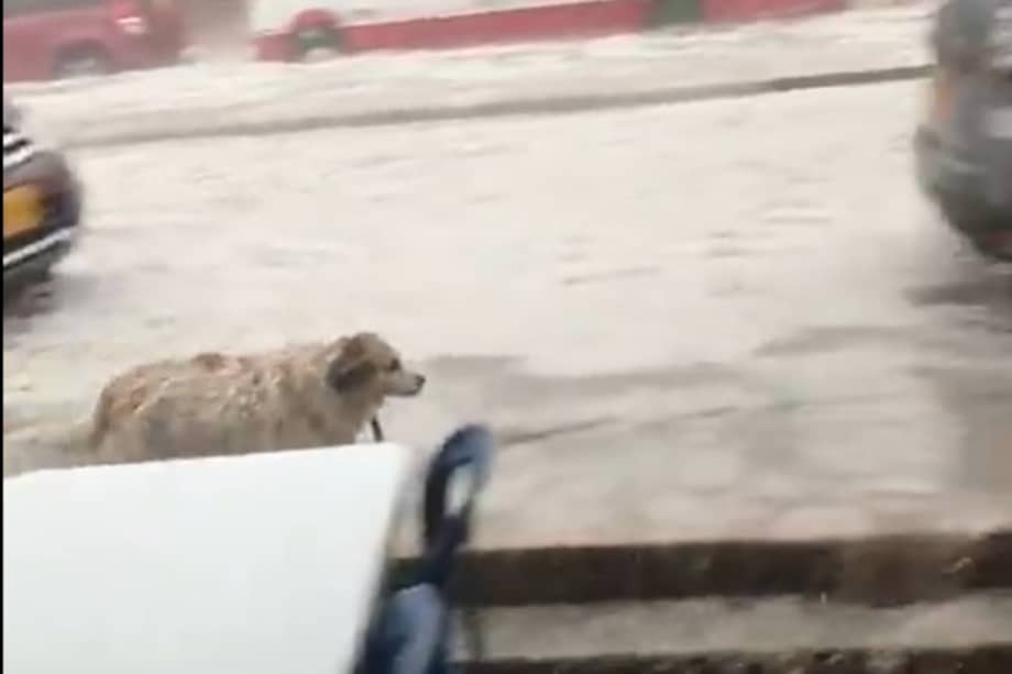El agua se filtró en la plaza de mercado y en los predios colindantes con la avenida principal del municipio.