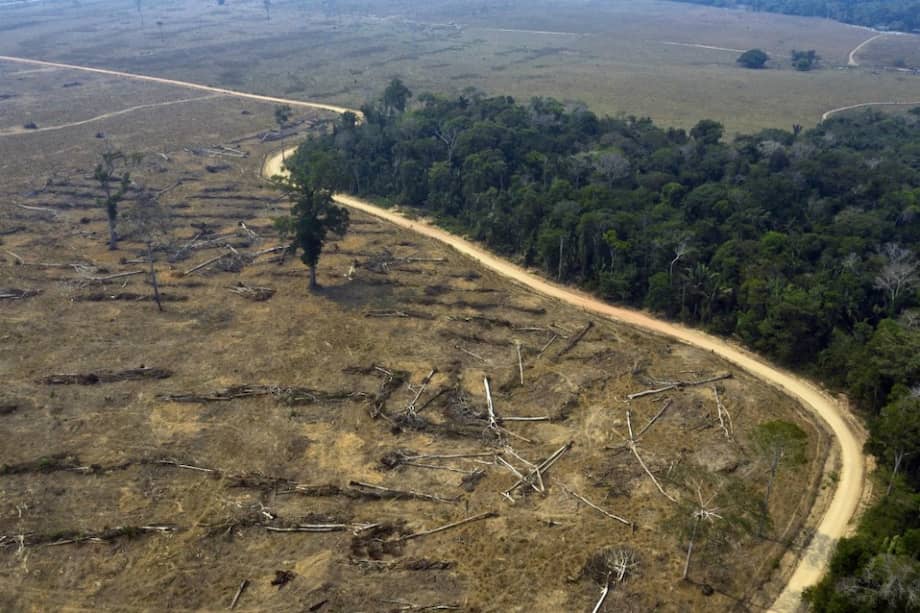 El precio de la Colorado Amazônica, producida por la compañía brasileña Ambev se ajusta de acuerdo a la media de la deforestación semanal.