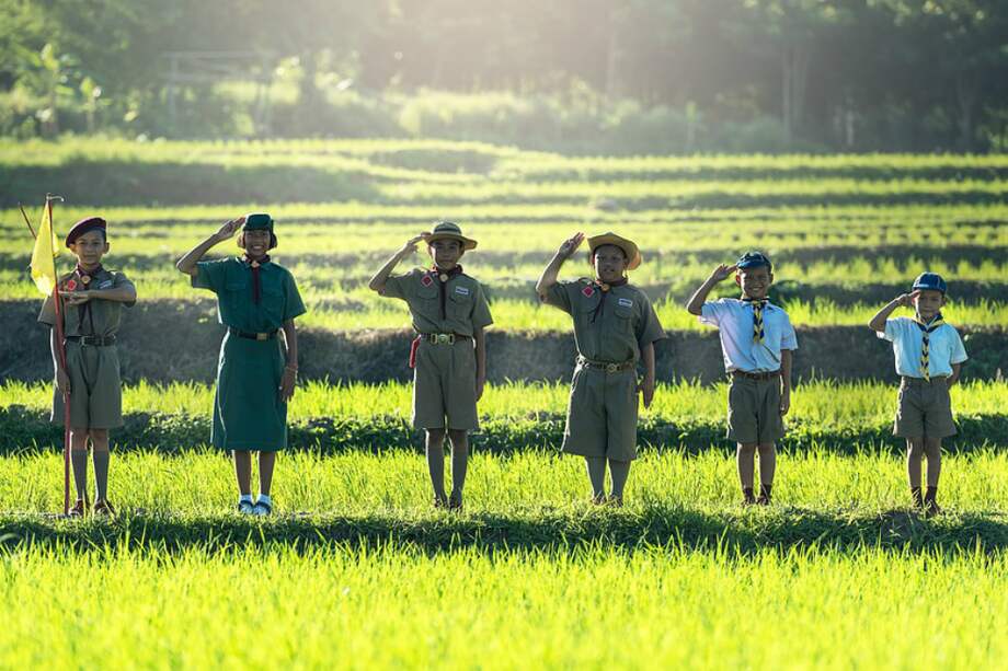 Imagen de referencia. / Pixabay