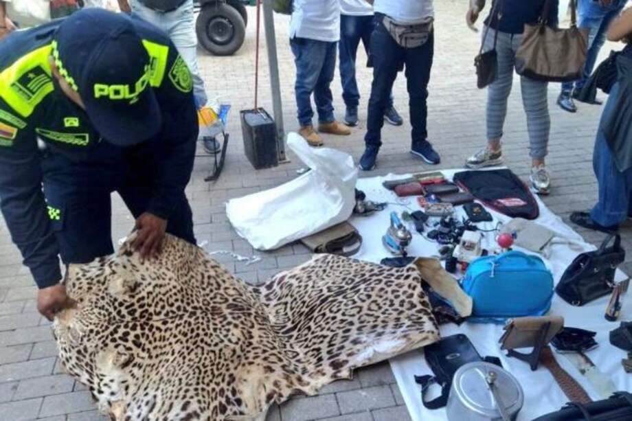 Las principales amenazas para el jaguar son la pérdida y la fragmentación del hábitat por la agricultura, ganadería y el desarrollo urbano.