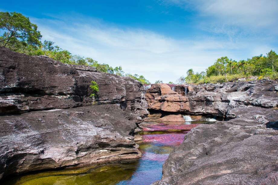 Caño Cristales, en el Meta / David Schwarz