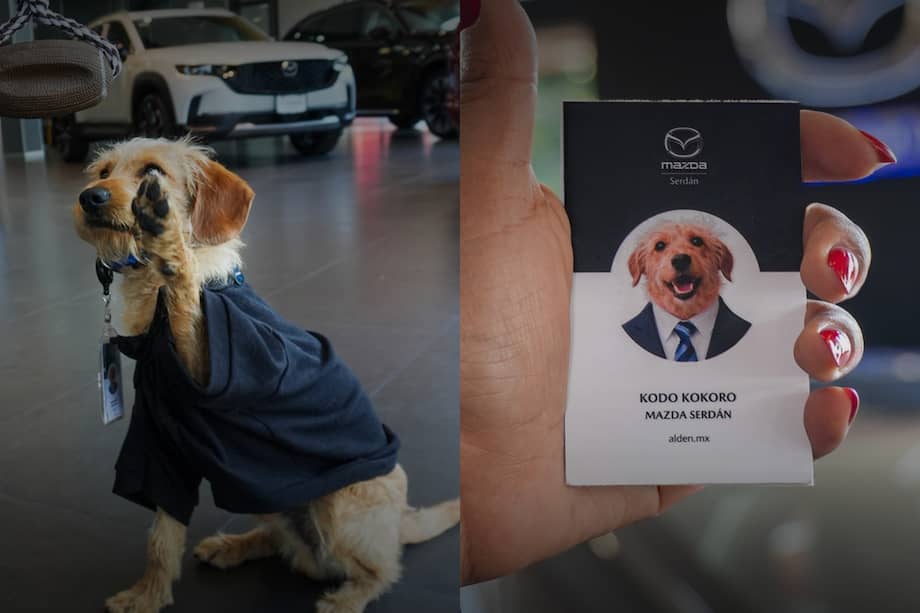 Kodo Kokoro pasó de vivir en la calle a convertirse en el “gerente de sonrisas” de un concesionario.