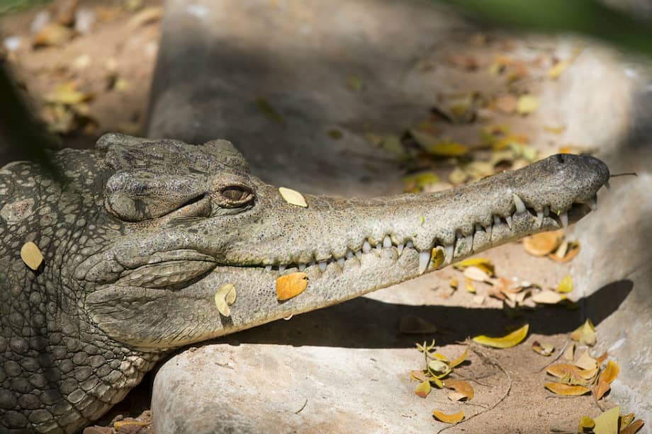 Imagen de referencia. / Pixabay