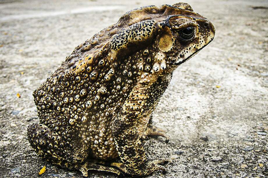 Foto de referencia. / Pixabay