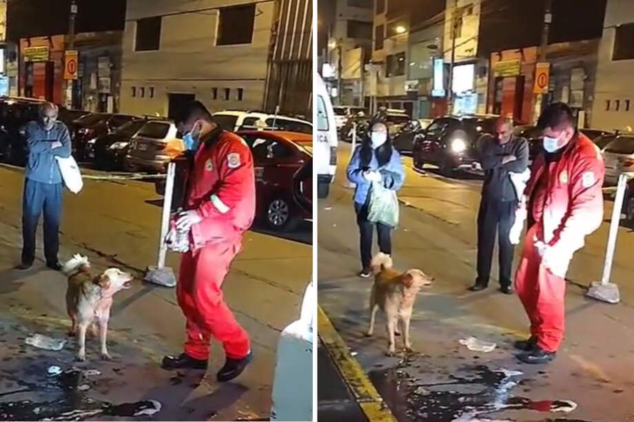 El perrito no pudo contener sus nervios y decidió colarse en tres ocasiones dentro del hospital, para buscar a su dueño.
