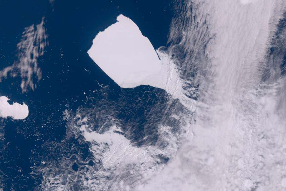 El análisis genético reveló que los pulpos del mar de Weddell y del mar de Ross se cruzaron entre hace unos 54.000 y 139.000 años, durante un periodo conocido como el Último Interglaciar, una conclusión que coincidía con las sospechas de los científicos de que se había producido un colapso durante ese tiempo.