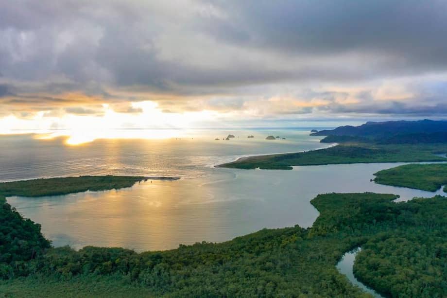 Las CAR definieron estrategias de protección y educación ambiental para especies como tortugas marinas, cangrejo negro y caracol pala, vitales para los ecosistemas marino.