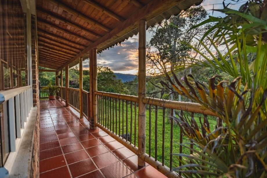 Terranía cuenta con tres categorías: Terranía Turismo, Terranía Autóctonos y Terranía Café.