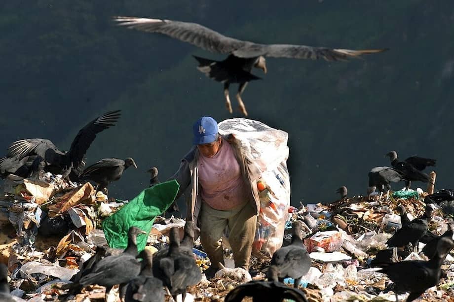 Colombia muestra una de las cifras más significativas, ya que pierde o desperdicia 9,76 millones de toneladas al año, es decir un 34 % del total disponible. / EFE