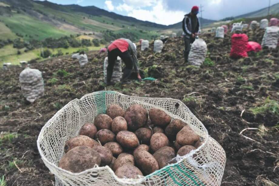 Se trata de $1,79 billones que, de acuerdo con el gremio, representa una caída de 20 % respecto al presupuesto de este año. / Archivo El Espectador