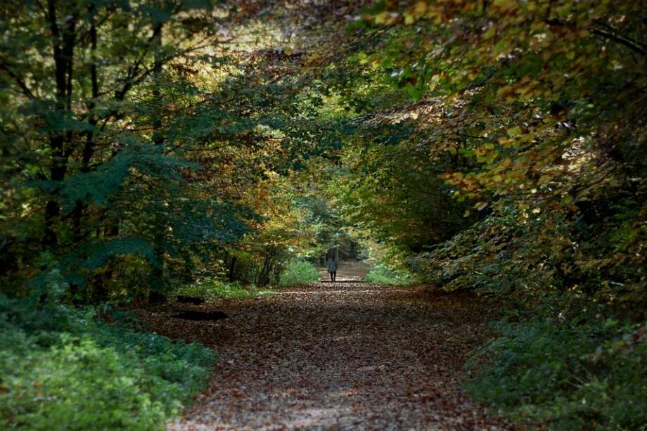 Flickr - glasseyes view