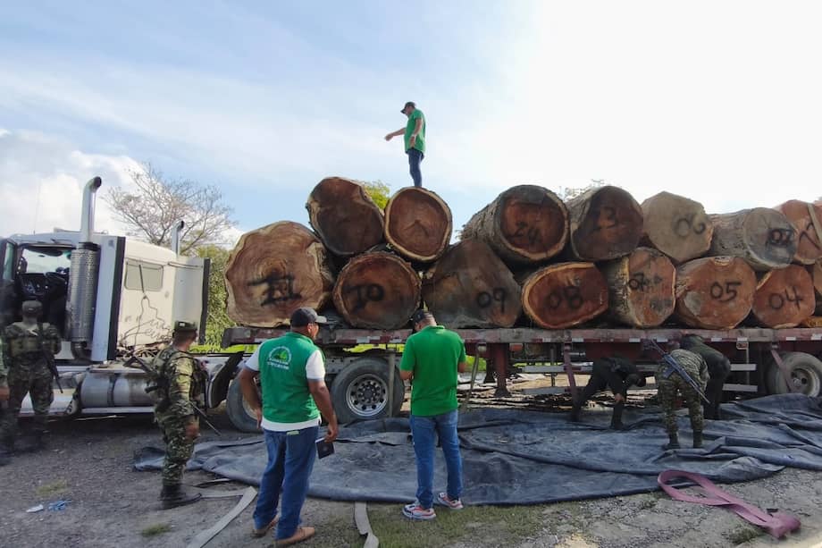 En un trabajo articulado con 37 autoridades ambientales y la Fuerza Pública, se decomisaron más de 294.000 metros cúbicos de madera ilegal. /Minambiente.