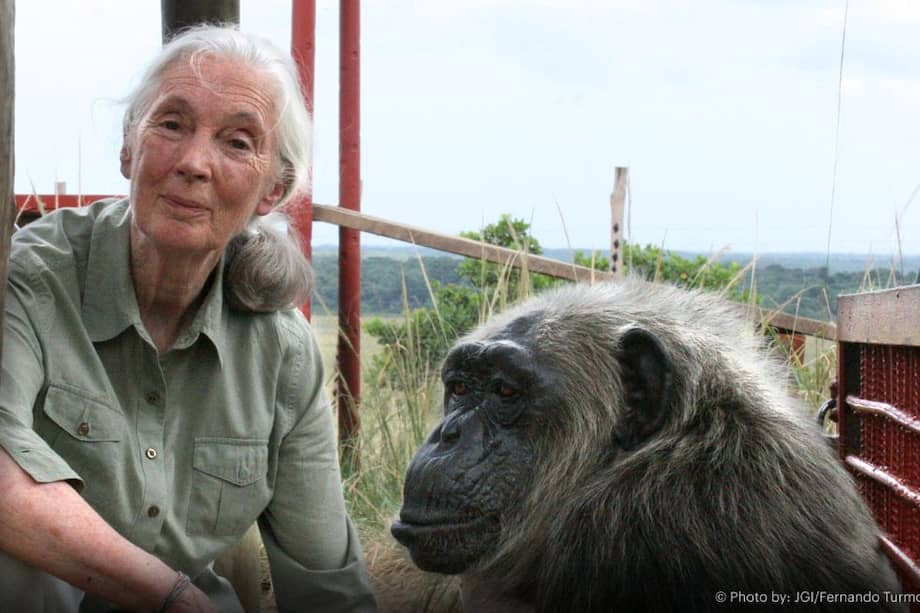 "Son las acciones de los humanos las que están amenazando la salud del planeta": Claudia Morales