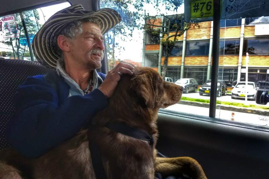 Cortesia Alcaldía de Bogotá