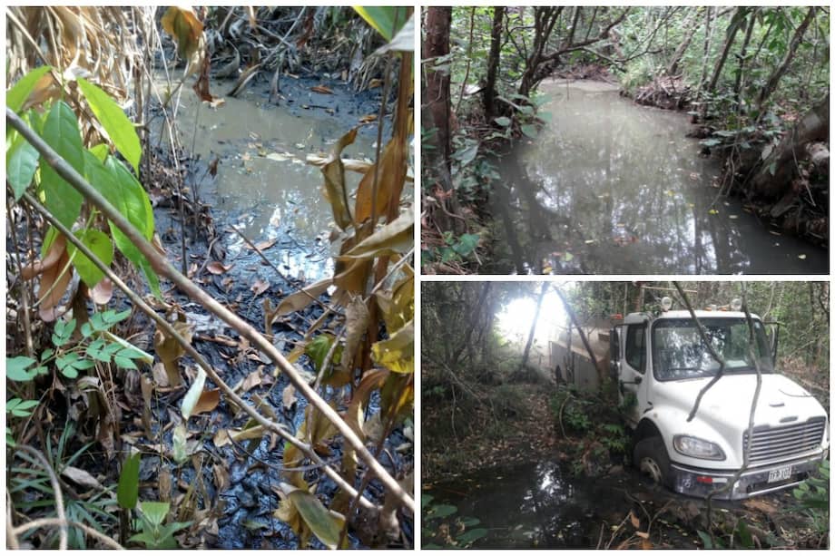 Vecinos de caño Barbascos insisten en que mancha provocada por Bioenergy mata todo a su paso