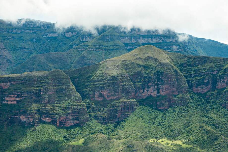 En total, se declararon n 40.000 nuevas hectáreas de áreas protegidas.