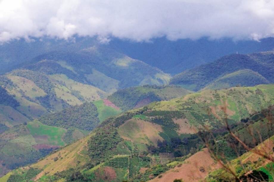 CHAPARRAL - PLANADAS- TOLIMA