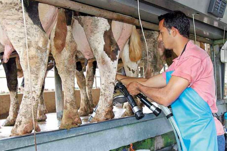 Colanta, Alpina, Alquería y Colácteos exportarán lácteos a Rusia, Bielorrusia y Kazajistán