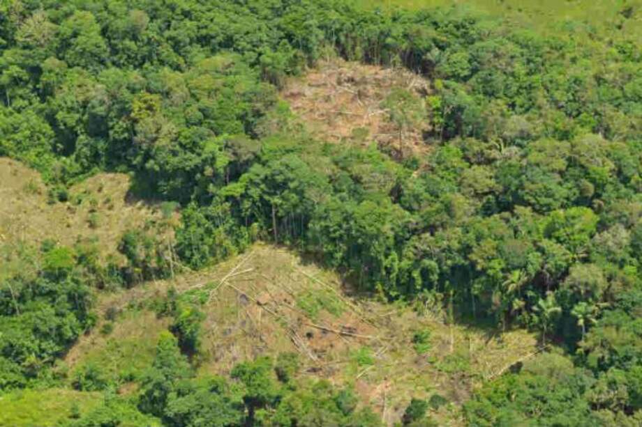 Indígenas se reúnen en Villavicencio en foro sobre conservación de la Amazonía