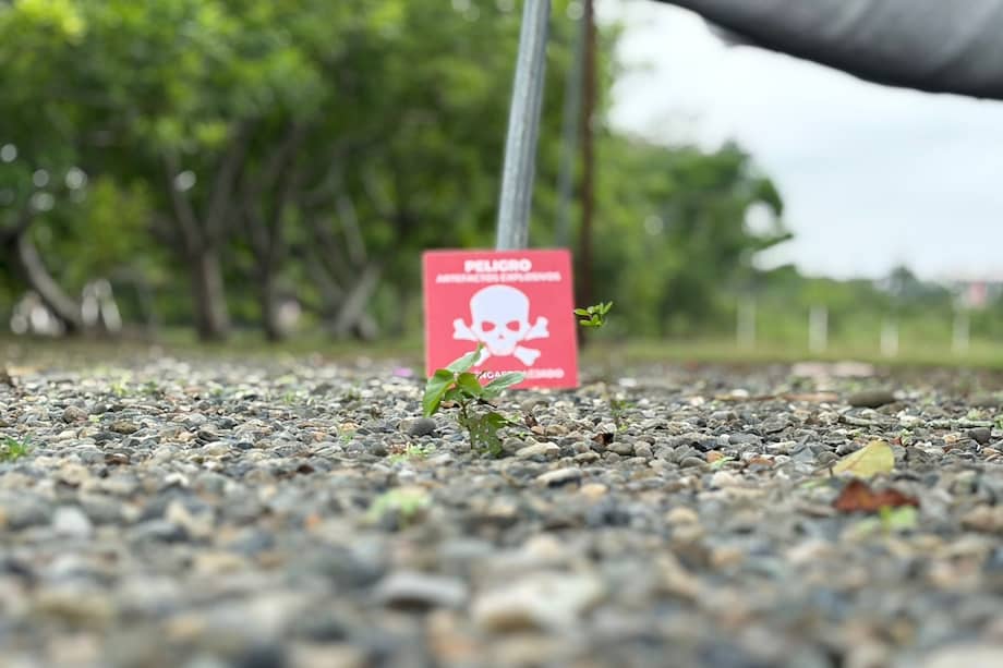 Para descontaminar el territorio, la acción humanitaria tuvo que recorrer 384 kilómetros cuadrados.