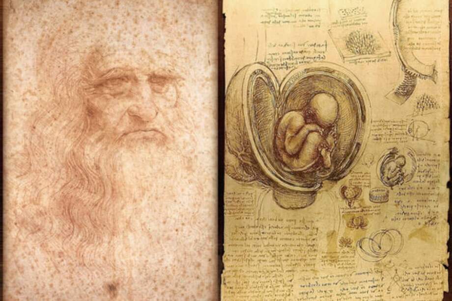 Autorretrato de Leonardo da Vinci dibujado entre 1512 y 1515 (izquierda) y dibujos sobre el embrión humano, realizados entre 1510 y 1513 (derecha).