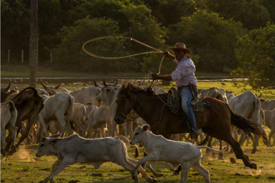 Una de los objetivos de este filme es "confrontar" los paradigmas que los citadinos tienen sobre la "rudeza" de los campesinos con la naturaleza.